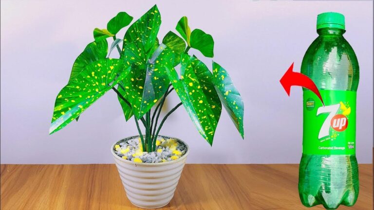 Transform plastic bottles into stunning home decor … a simple way to impress guests!