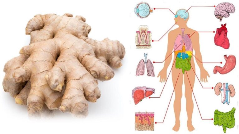 This simple daily habit can transform your health in just 30 days…