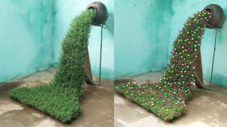 This simple trick transforms your garden into a stunning waterfall oasis…