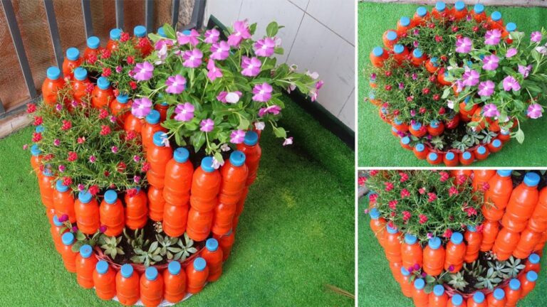 This simple idea turns plastic waste into a vibrant spiral garden…