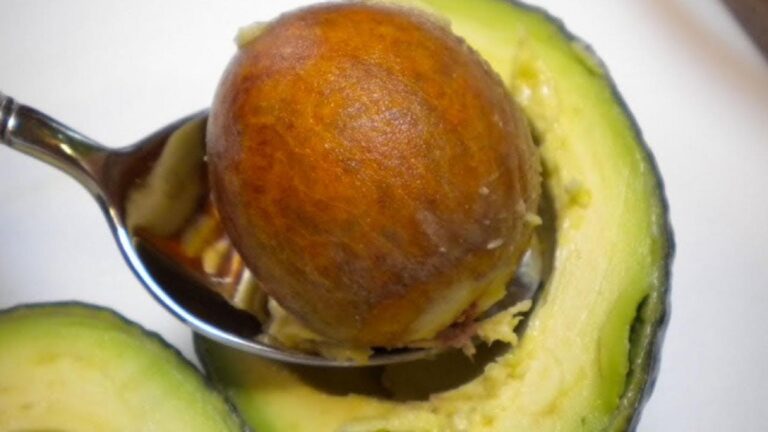 This simple method transforms avocado pits into thriving indoor plants…