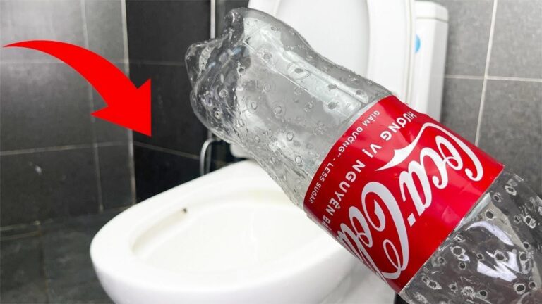 This simple gesture could save you a fortune on toilet repairs…