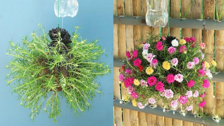 This simple gesture transforms your garden into a self-watering oasis…