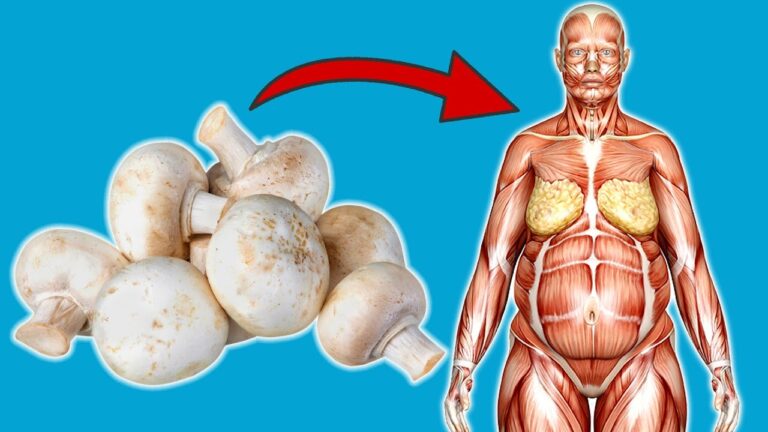 7 Surprising Benefits of Eating Mushrooms Daily for Your Body