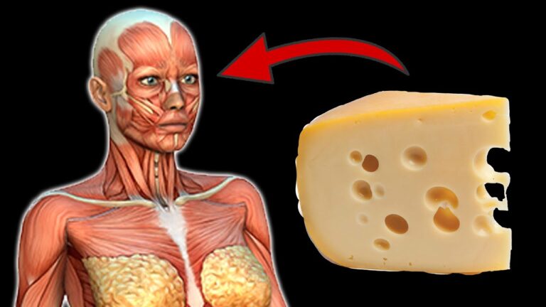 Discover 7 Surprising Benefits of Eating Cheese Daily That Will Amaze You! 🧀✨