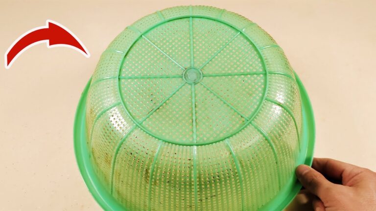 Restore Your Veggie Basket’s Shine with This 1 Simple Trick!
