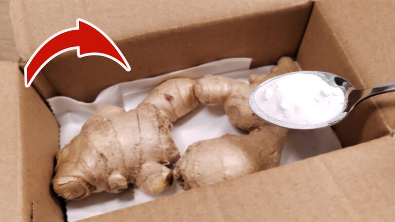 Preserve Ginger Like a Pro: 7 Tips for Freshness All Year Round