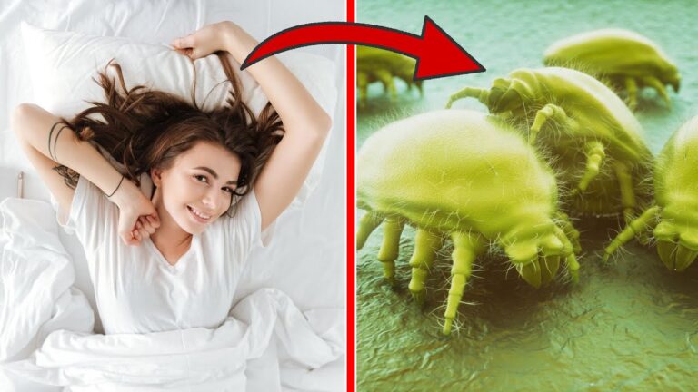 5 Reasons You Should Never Make Your Bed in the Morning! Find Out Why!