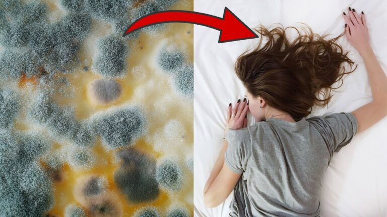 7 Surprising Reasons You Should Never Sleep with the Window Open