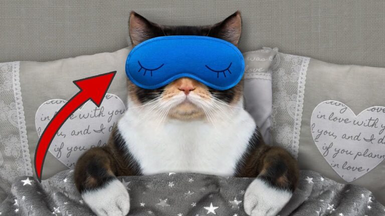 9 Fascinating Changes Your Body Goes Through While You Sleep! Discover the Surprising Effects