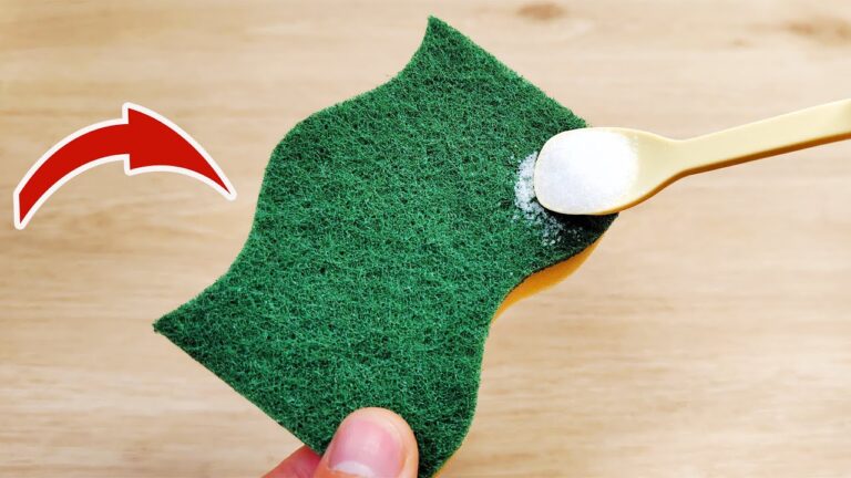 Transform Your Sponge: 5 Genius Ways Salt Changes How You Clean!
