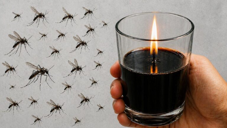 Eliminate 5 Pests Instantly with This Incredible Candle Trick!