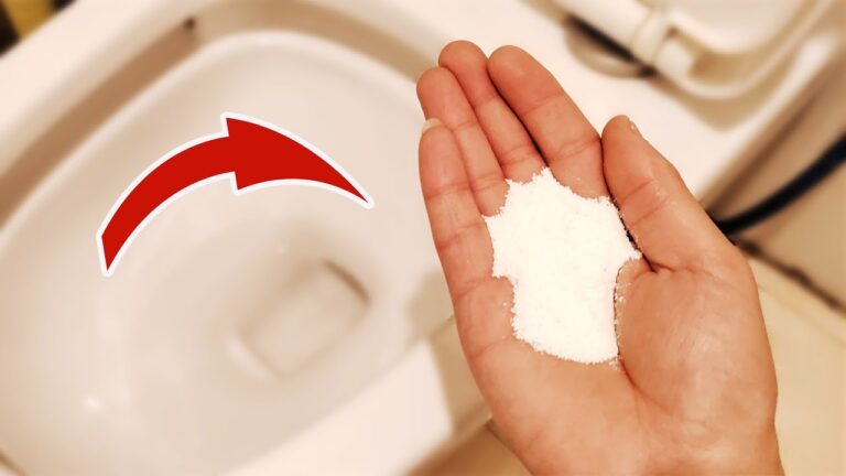 30 Years of Toilet Cleaning Mistakes: Discover the 3 Simple Steps for a Sparkling Bowl!