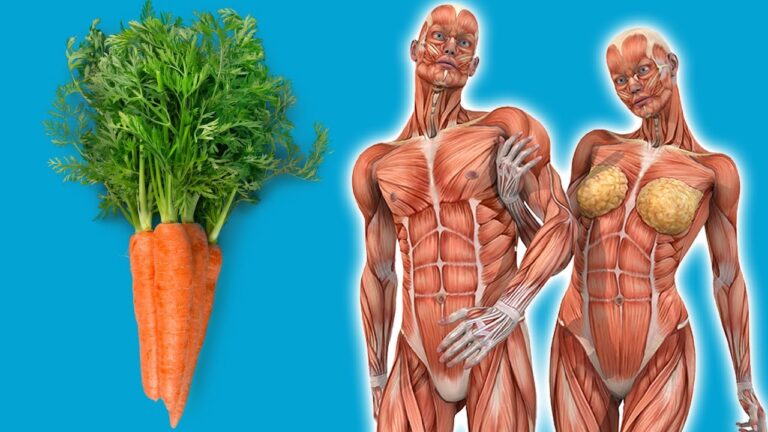 Transform Your Health: 7 Amazing Benefits of Eating Carrots Daily!