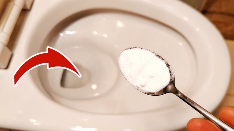 Save $10: The Surprising Trick to Instantly Clean Your Toilet!