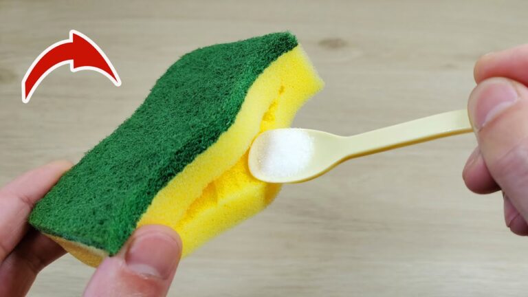 30 Years of Dish Sponge Secrets: Discover This Brilliant 1-Minute Hack!