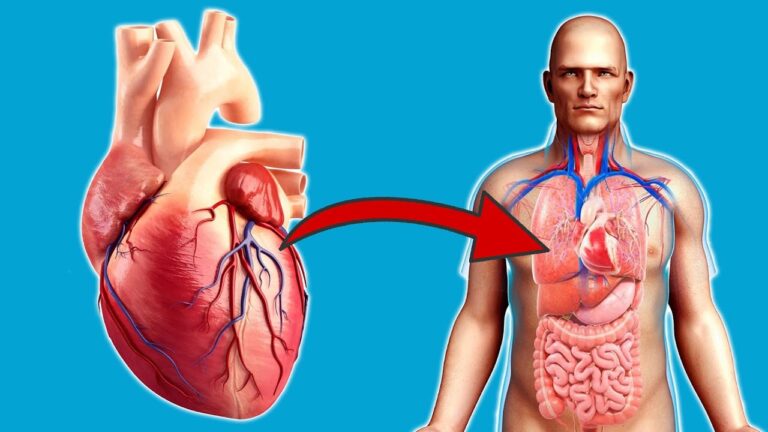 Unbelievable 5 Ways Daily Exercise Transforms Your Heart Health! 💪❤️