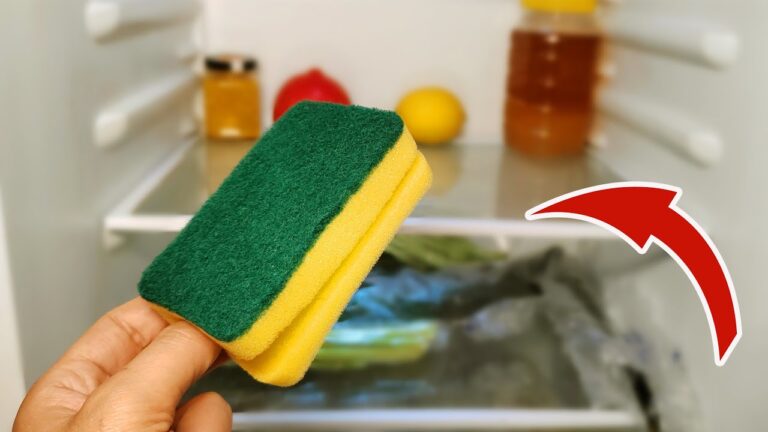 Discover 5 Amazing Reasons to Keep a Sponge in Your Fridge Today!