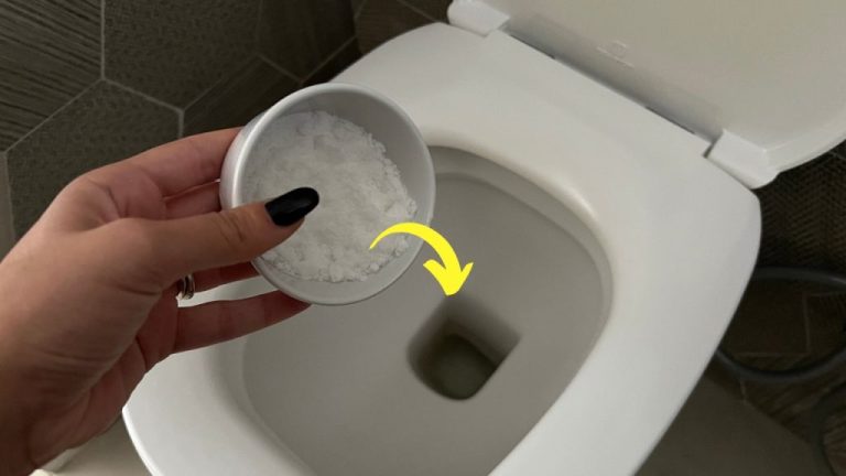 The Ultimate Natural Remedy for a Fresh, Fragrant Toilet