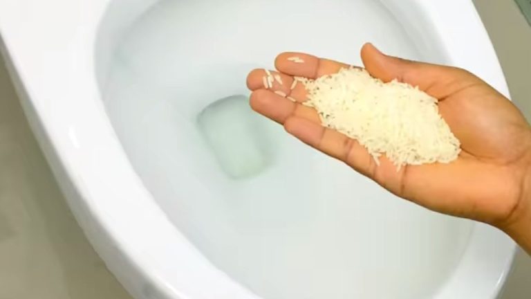 What Happens When You Keep Rice in the Bathroom? Discover Now!
