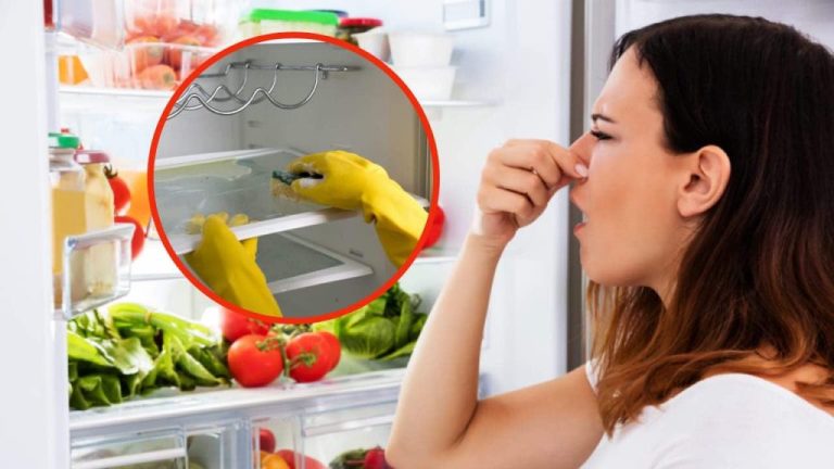 Eliminate Bad Smells from Your Fridge in a Flash!