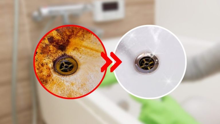 Remove Rust Stains from Your Bathtub and Toilet for Spotless Fixtures