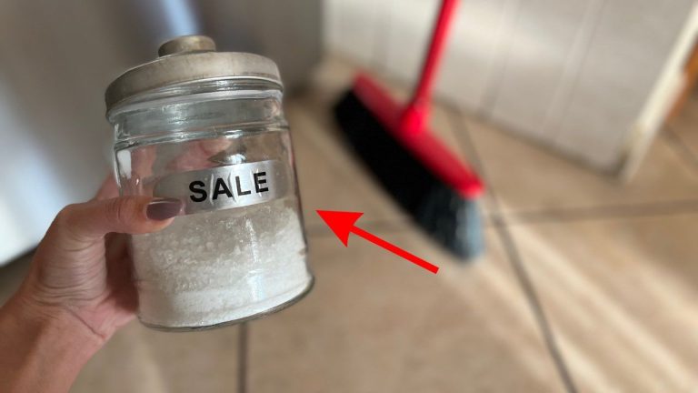 Grab the Broom: Once You Try This, You Can’t Stop Cleaning!