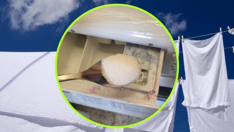 Get Sparkling White Laundry Without Bleach: Here’s How!