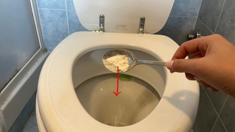 How to Use Flour in Your Toilet: A Nighttime Trick for Cleanliness