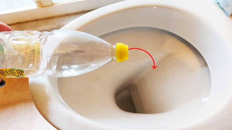 The Secret to Solving Toilet Troubles with Vinegar: Join the Trend!