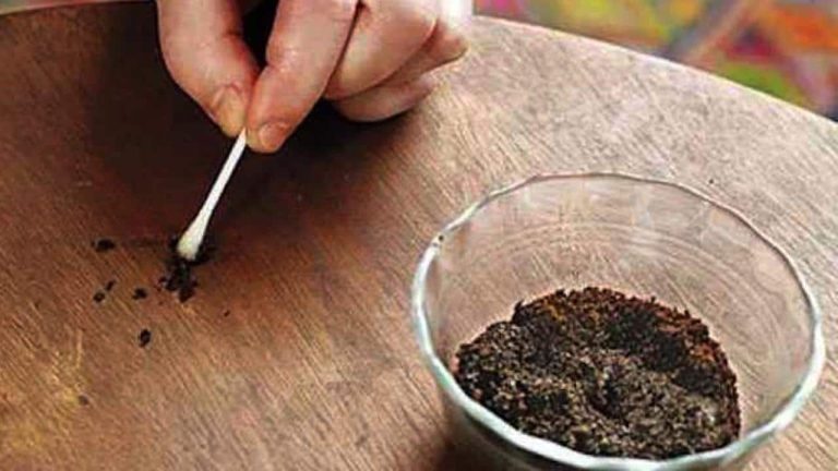 How to Instantly Remove Scratches from Your Furniture and Make It Look New