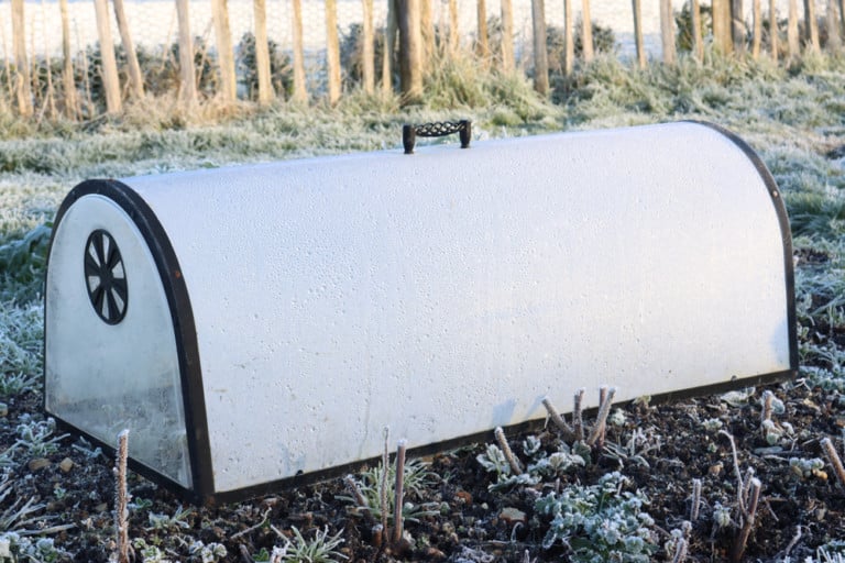 10 Budget-Friendly Tips to Extend Your Gardening Season