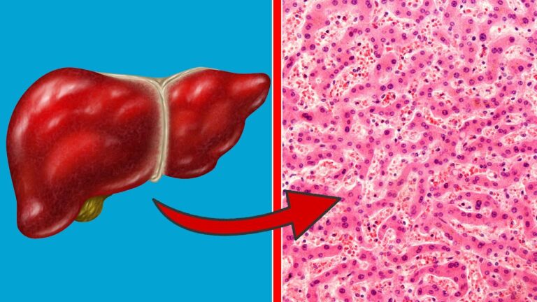 8 Reasons You’ll Say Goodbye to Alcohol Forever and Embrace a Healthier Life!