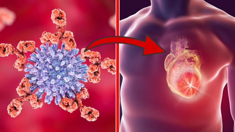 8 Habits to Prevent Heart Attacks and Strokes for a Healthier Life