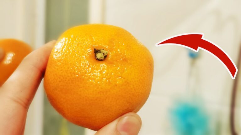 30 Orange Hacks You Didn’t Know: Transform Your Mirror and Share the Secret!