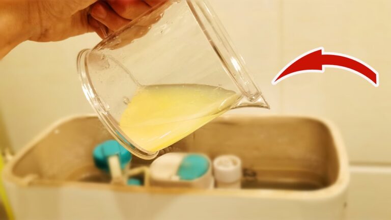 Eliminate Toilet Stains Forever: 1 Easy Trick for a Sparkling Clean Bowl!