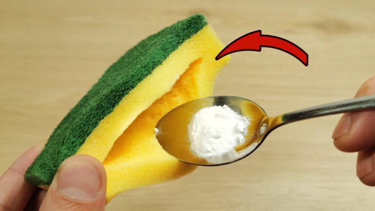 Transform Your Sponge: 5 Surprising Hacks You Never Knew About!