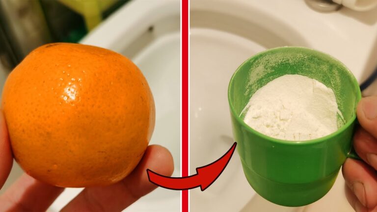 5 Easy Tips to Clean Toilet Stains That Will Change Your Routine Forever