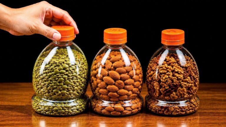 5 Brilliant Ways to Recycle Plastic Bottles You Wish You Knew Sooner
