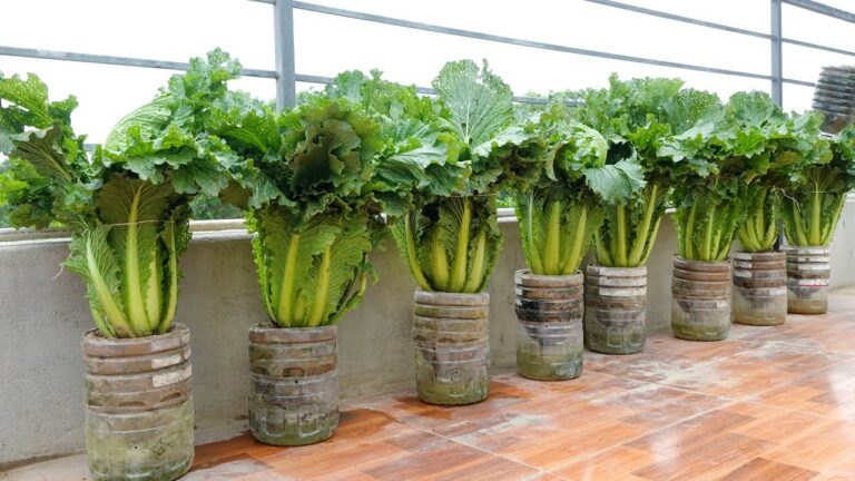 10 Easy Vegetables to Grow for Lazy Gardeners with Minimal Care!