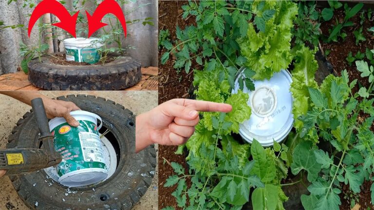 10 Creative Ways to Use Tire Planters for Super Healthy Tomatoes