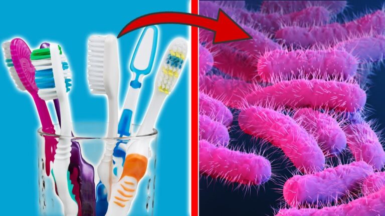 5 Smart Ways to Store Your Toothbrush for Better Oral Health
