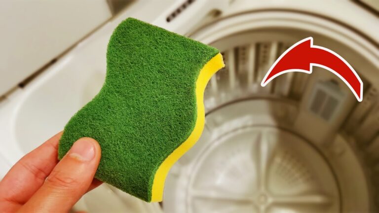 10 Genius Cleaning Hacks for Sponges You’ve Never Tried!