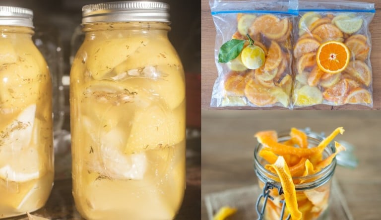 10 Easy Ways to Preserve Fresh Lemons for Flavorful Dishes