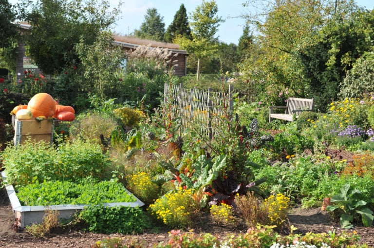 10 Essential September Gardening Tasks: Plant, Prune, and Prepare